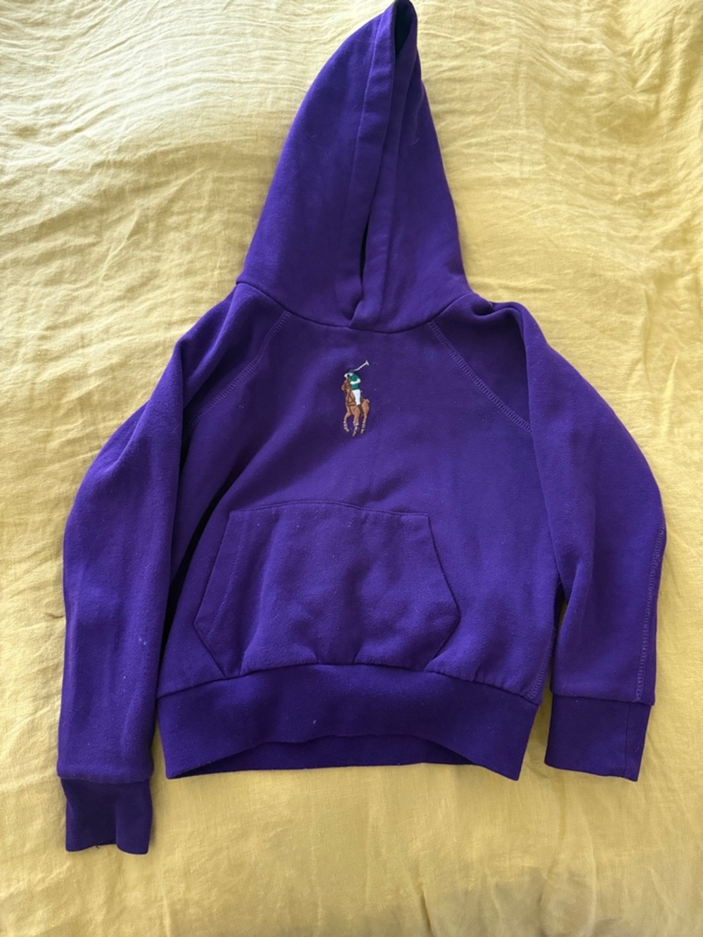Ralph Lauren Kids Purple Hoodie with Pony Logo
